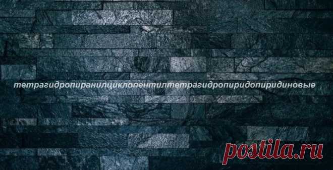 Разбираем тему: Какое самое длинное слово в русском и других языках?