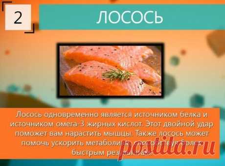 Продукты для наращивания мышц — Делимся советами