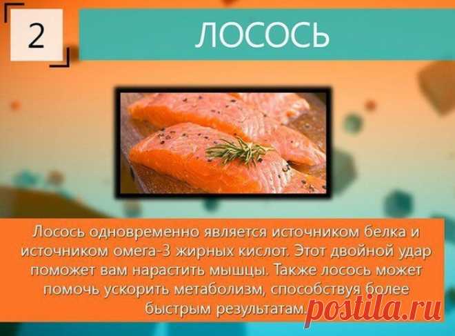 Продукты для наращивания мышц — Делимся советами
