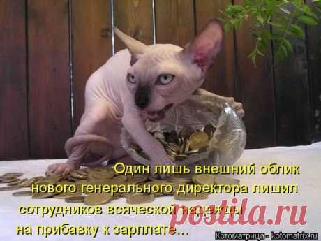 ۩♥ДИЗАЙН интерьера , РОСКОШНЫЕ дома и КВАРТИРЫ♥۩
ღ​❤Лолита ღ​❤