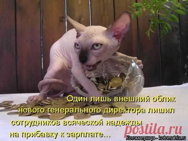۩♥ДИЗАЙН интерьера , РОСКОШНЫЕ дома и КВАРТИРЫ♥۩
ღ​❤Лолита ღ​❤