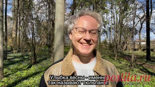 Весна в Саду Души - Тюльпан!