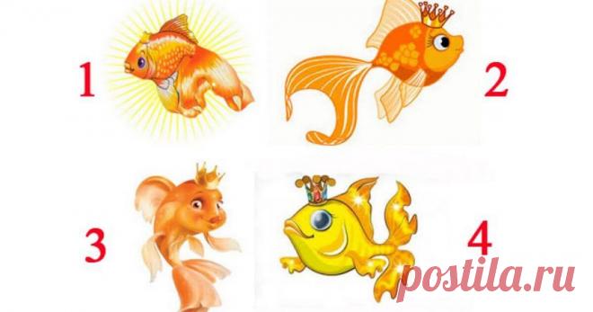 Тест: когда золотая рыбка исполнит вашу мечту — Бабушкины секреты