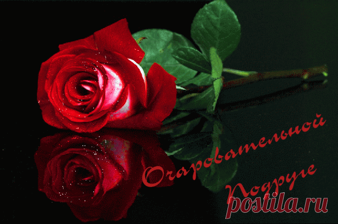 21825154.gif (943×626)