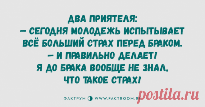 Чудная подборка анекдотов, заслуживающая вашего внимания