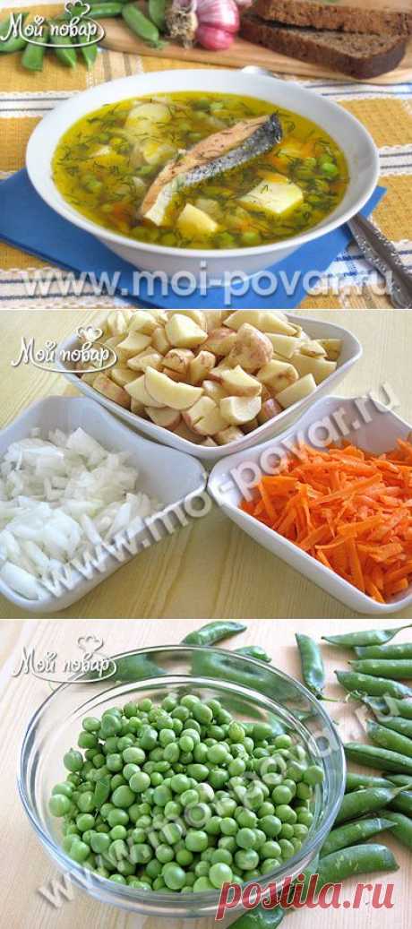 Суп из лосося с молодым зеленым горошком .
