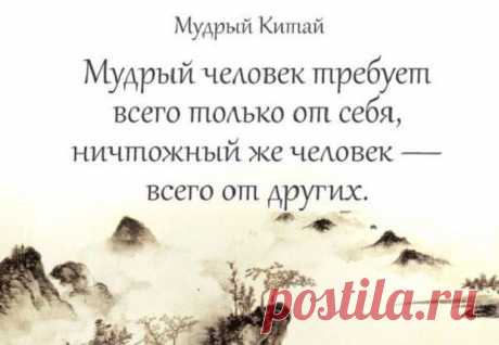 Мудрости дракона — Болтай