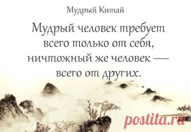 Мудрости дракона — Болтай