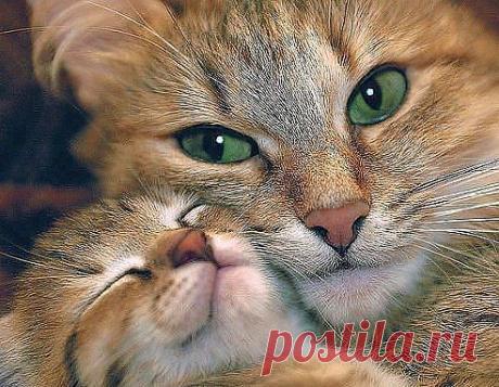 Мамочка.