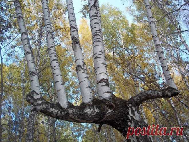 Мой Мир@Mail.Ru