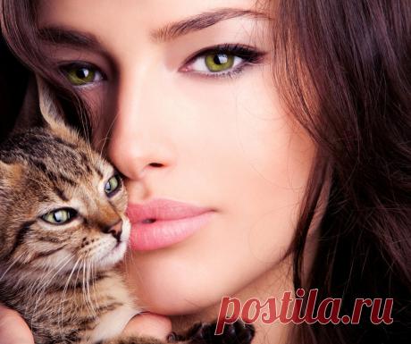 А вы не болтайте при кошках лишнего | С укропом на зубах | Дзен