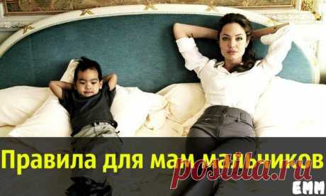 Ежедневник Мудрой Мамы