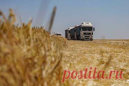 Еврокомиссию обвинили в допущении зернового скандала между Польшей и Украиной. Политика ЕК привела к эскалации конфликта между Варшавой и Киевом из-за импорта украинского зерна в страны ЕС, пишет Politico. Отмечается, что введение эмбарго на импорт украинского зерна было уступкой консервативному крылу Европарламента, широко представленного польской правящей партией «Право и справедливость».