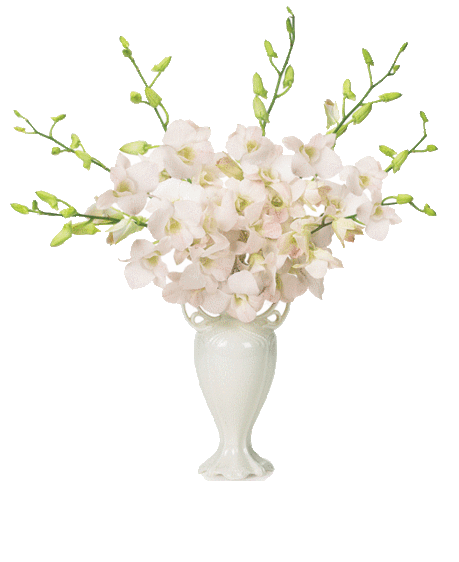 7358239.gif (520×636)