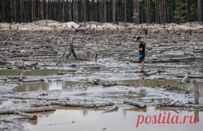 Несколько районов Центральной и Западной Украины вышли из подчинения Киева