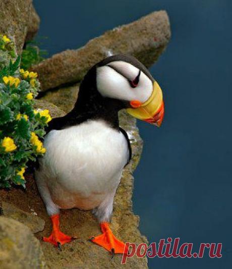 Нина С добавила фотографию в альбом ПРИРОДА