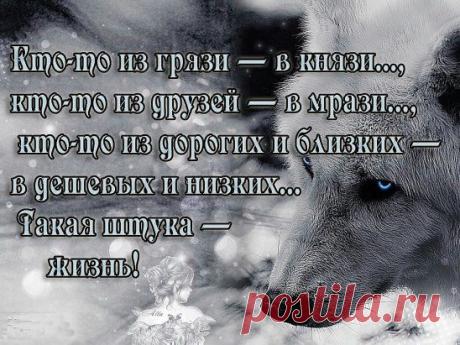 Ты не считай друзей на пересчет! Не тот твой друг, кем любопытство движет... А тот, кто с радостью с тобой разделит взлёт... И кто в беде твой тихий плач услышит...