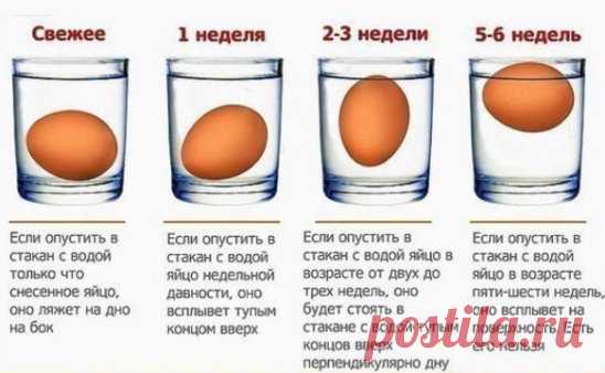 Определяем яйца на свежесть !