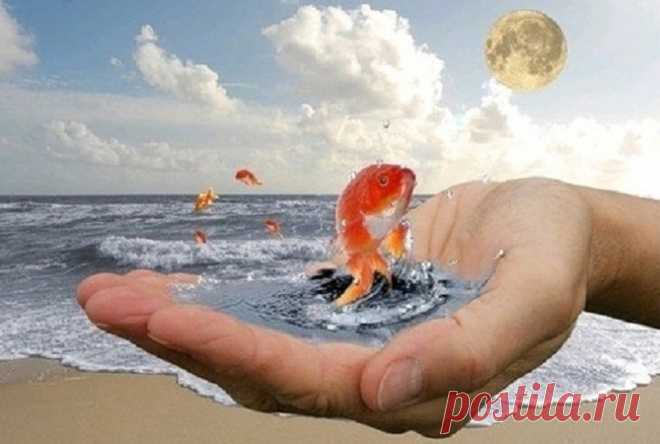 КАК ЗАПРОГРАММИРОВАТЬ СВОЕ ПОДСОЗНАНИЕ НА ИСПОЛНЕНИЕ ЛЮБЫХ ЖЕЛАНИЙ?