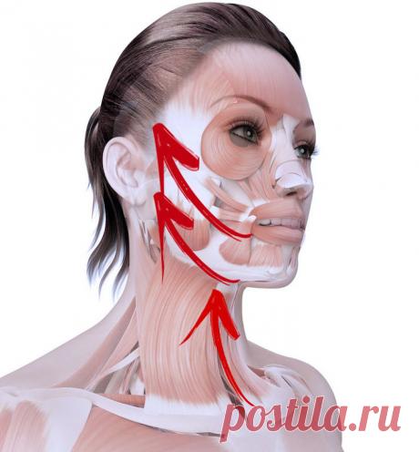 КРУГОВАЯ ПОДТЯЖКА ЛИЦА: ВСЕГО ОДНО ОМОЛАЖИВАЮЩЕЕ УПРАЖНЕНИЕ.

Это упражнение укрепляет мышцы щек, губ, подбородок, шею - Упражнение «Подъем ложки»
Лицо может рассказать о человеке многое. На нем отражаются наша жизнь, наши чувства, радости и печали.

Это упражнение без хирургического вмешательства позволяет вернуть естественную красоту, уменьшить проявления старения, минимизировать морщины, подтянуть ослабевающие, утончающиеся с возрастом мышцы лица.