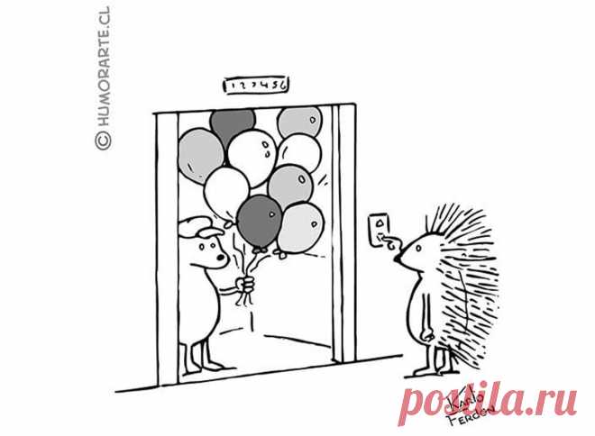 Карикатурист из Чили классно шутит без слов: сначала думаешь, что к чему, потом улыбаешься | Супер! | Яндекс Дзен