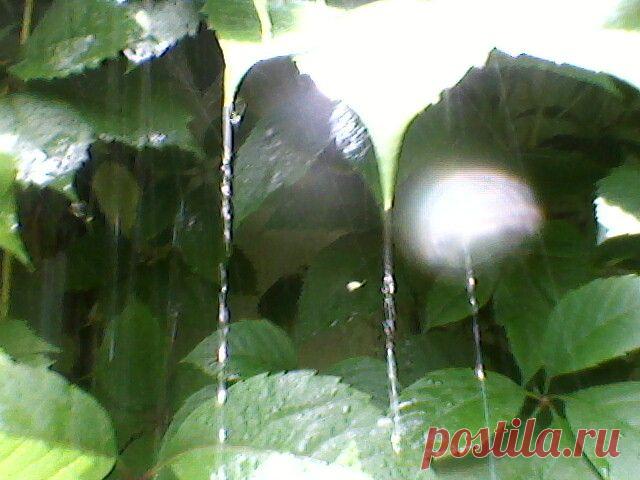 Слезы радости)