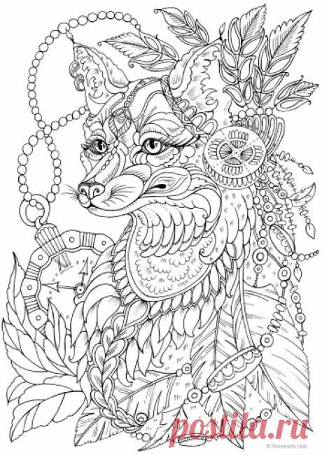 Zorro de fantasía - Favoreads Coloring Club