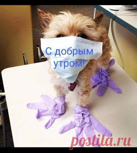 Открытки про коронавирус. Приколы про коронавирус.