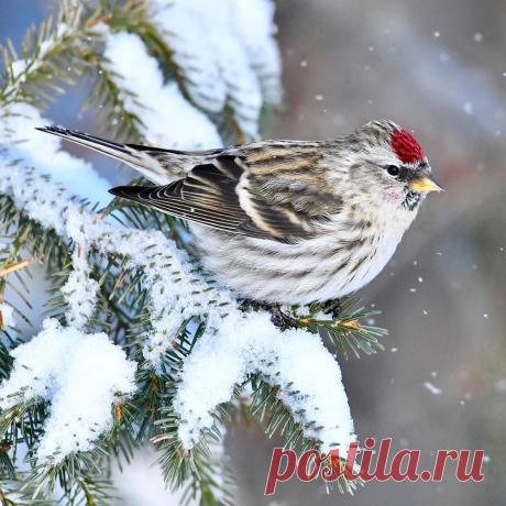 Библия┃Викторина "СЛОВО во мне"