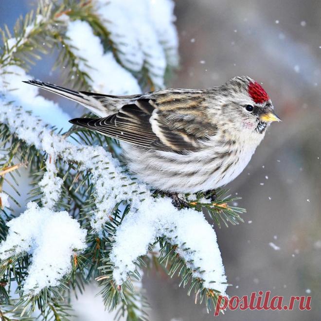 Библия┃Викторина 