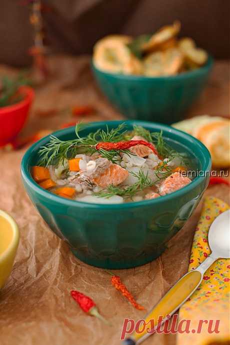 Рыбный суп с перловкой и овощами