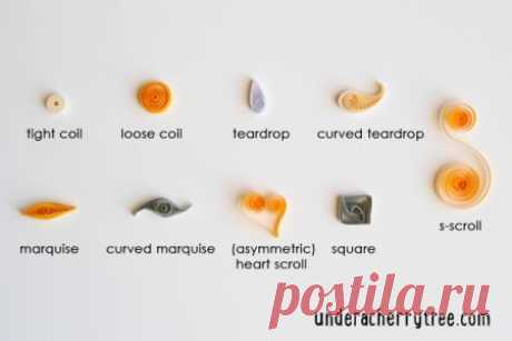 Tips: Quilling for Beginners | Stamping | CraftGossip.com
