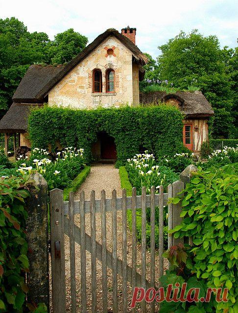 Pinterest: инструмент для поиска и хранения интересных идей