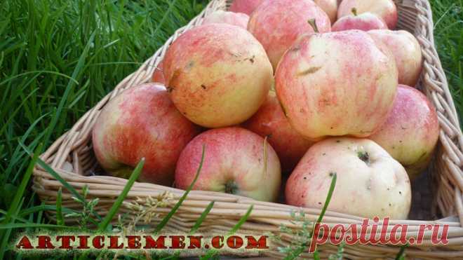 Питание при инсульте. Как правильно питаться при инсульте