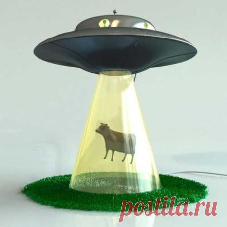 Самые необычные и креативные лампы для дома — Наши дома