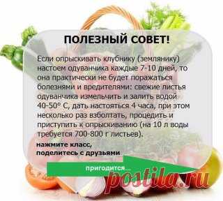 Пригодится)))