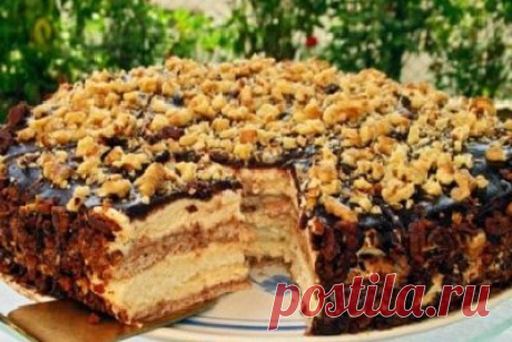 Торт &quot;Белочка&quot;