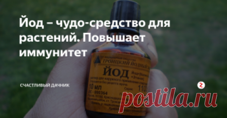 Йод – чудо-средство для растений. Повышает иммунитет Йод требуется для всех растений. Его недостаток сказывается на их развитии и росте. Поэтому требуется подкормка культур этим средством.
