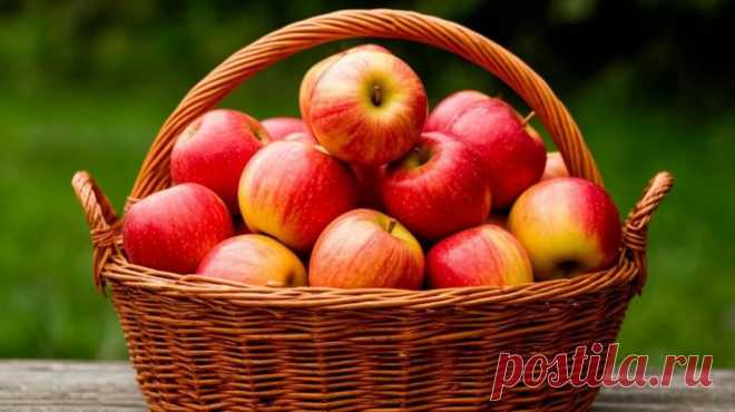 Продукты для здоровья щитовидной железы Здоровье щитовидной железы — важная часть общего самочувствия. Эта тема особенно актуальна для жителей районов, где повышен риск заболеваний этой...