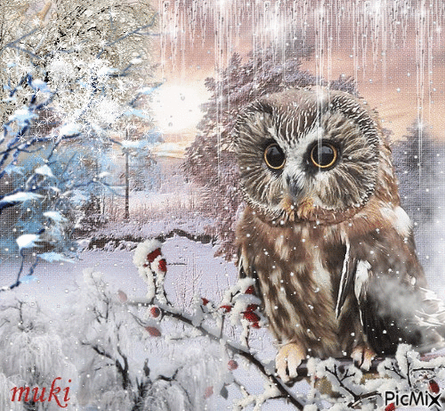 3498866_782d7.gif (500×461)
