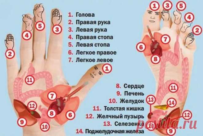 Что делать, если сильно болит голова: таблетки и массаж