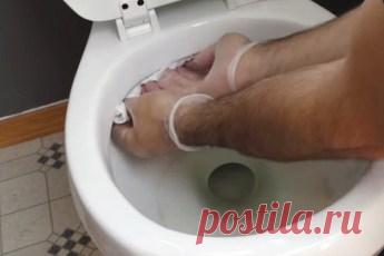 Как избавиться от седины без окрашивания и получить насыщенный цвет волос