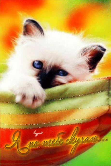 Я по тебе скучаю... - Скучаю и жду - Анимационные блестящие картинки GIF