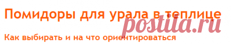 Помидоры для урала в теплице