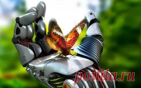 бабочка