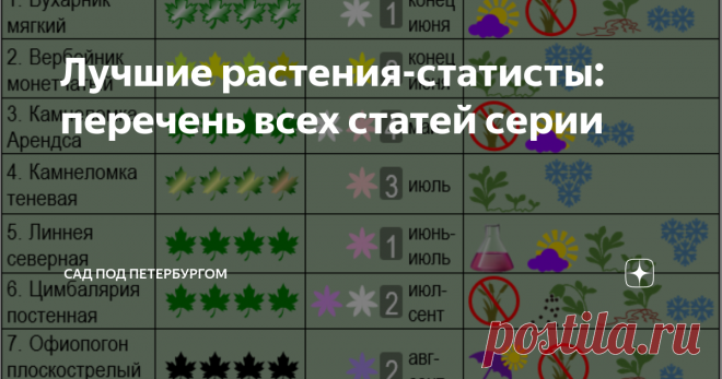 Лучшие растения-статисты: перечень всех статей серии Статисты - это те, кто играют в саду роль второго плана, но вместе с тем создают уникальный фон, позволяющий оттенить великолепные особенности солистов.  А для некоторых миксов они являются и объединяющим звеном - 