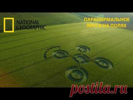 Паранормальное : Круги на полях.National Geographic - YouTube