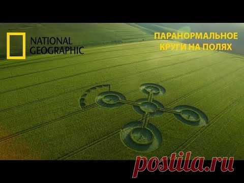Паранормальное : Круги на полях.National Geographic - YouTube