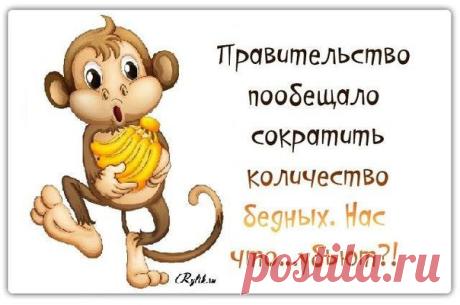► Шальная императрица