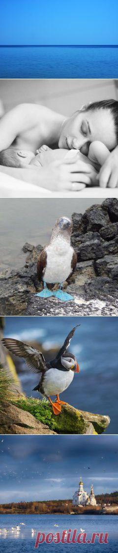 Вечернее Море — Андрей Власов — AdMe Photo Awards 2014